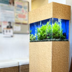 茨城県牛久市　オアシス脳神経クリニック様の45cm淡水魚水槽｜その後の様子水槽写真